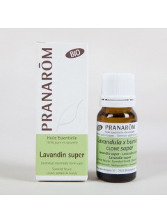 LAVANDIN SUPER Bio - 10 ml